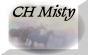 mistybtn2004.jpg (1698 bytes)