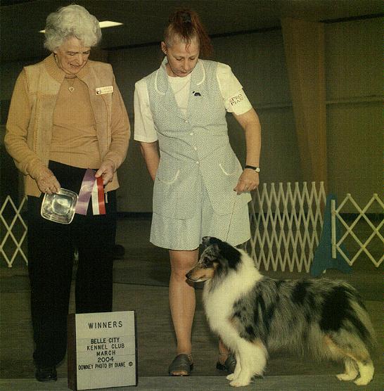 mistywbarb.jpg (57888 bytes)