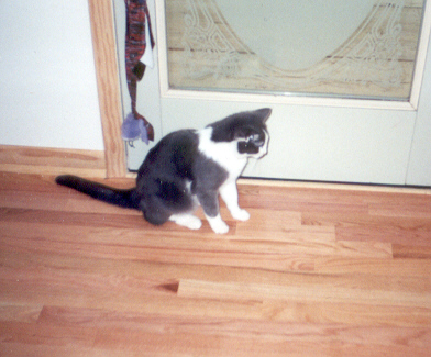 me looking for mice
