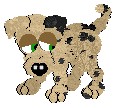 Bark