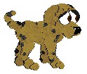 Barkster