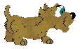 Dak