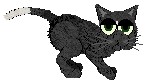 NewMoon