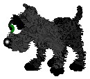Pup