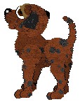 RedKin