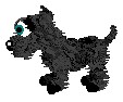 Scortch