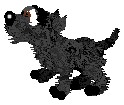 ScottiMaroon (looks at those eyes!)