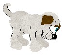 Snowshoe