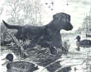 e28.JPG (18794 bytes)