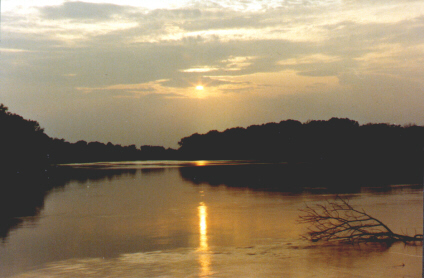 logsunset.JPG (95597 bytes)