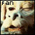 Falkor Fan