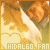 'Hidlago' Fan