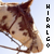 Hidalgo Fan
