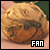The Golden Snitch Fan