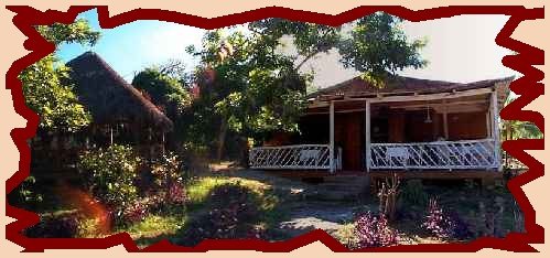 ENTER Silver Star Cafe, Negril Jamaica