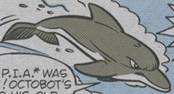 Bottlenose