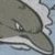 Bottlenose