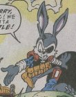 Jack Rabbitt