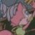 Leeta