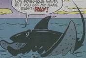 Ray