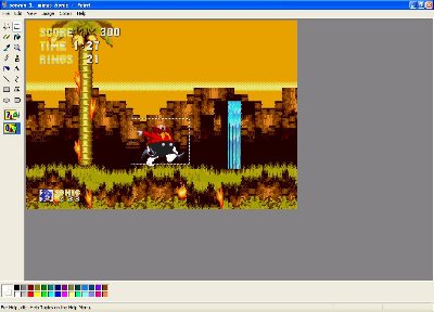Paint's view of the screenshot