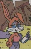 old Bunnie