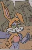 new Bunnie