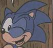 new Sonic wink