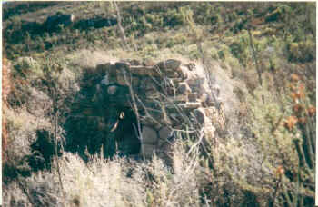 leopard trap