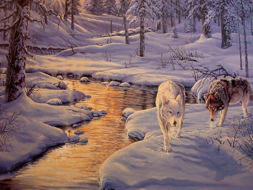 ArcticWinds