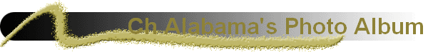 Ch Alabama's Photo Album