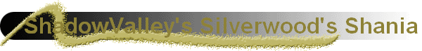 ShadowValley's Silverwood's Shania