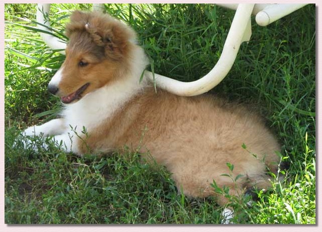 Click on Gwen's photo to visit Highledge