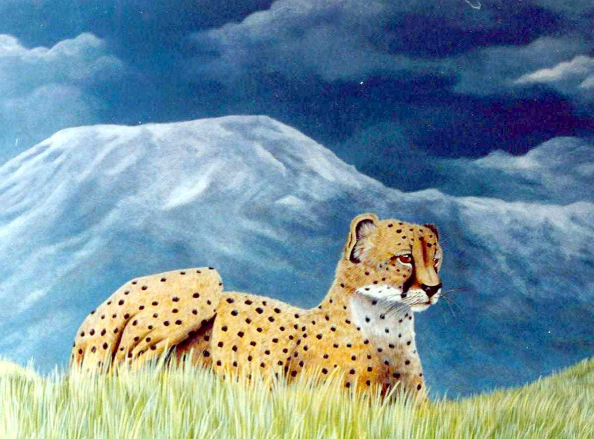 CHITA 1MT X O,80 CMS ACRILICO SOBRE TELA.jpg (228526 bytes)