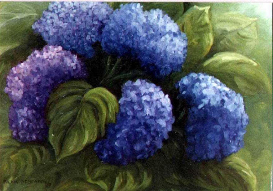 HORTENSIAS 0,50 X 0,40 CMS OLEO SOBRE TELA.jpg (163855 bytes)