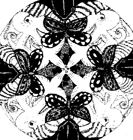 Animals Drawing