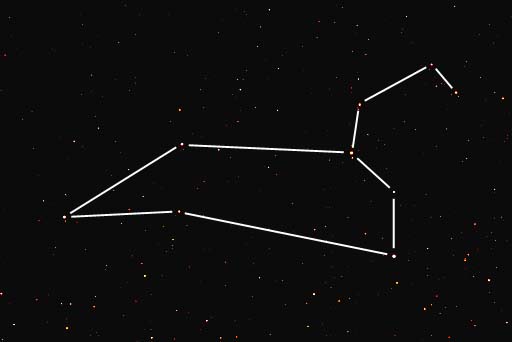The constellation 'Leo'
