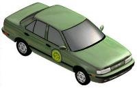 carro9politic.jpg (5324 bytes)