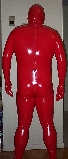 Back view