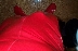 Bulge