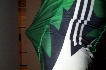 Crotch side view