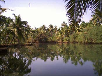 Branchofperiyaar