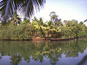 Branchofperiyaar2