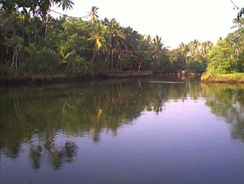 Branchofperiyaar3