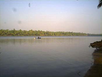Periyaar