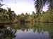 Branchofperiyaar