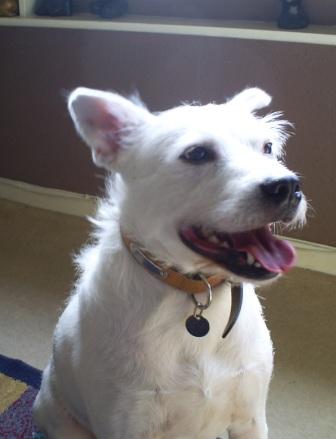 click here to see pictures of Chance