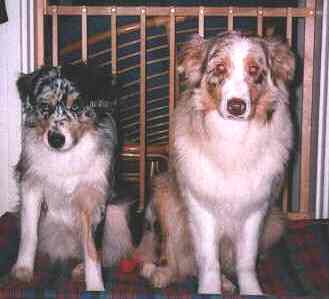 Oscar and Dille