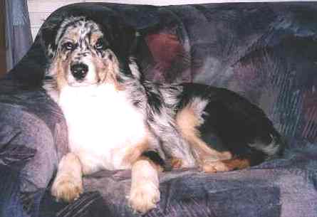 Oscar on his throne