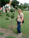 06_2-25_Bangkok_PEC_tree.jpg (63152 bytes)